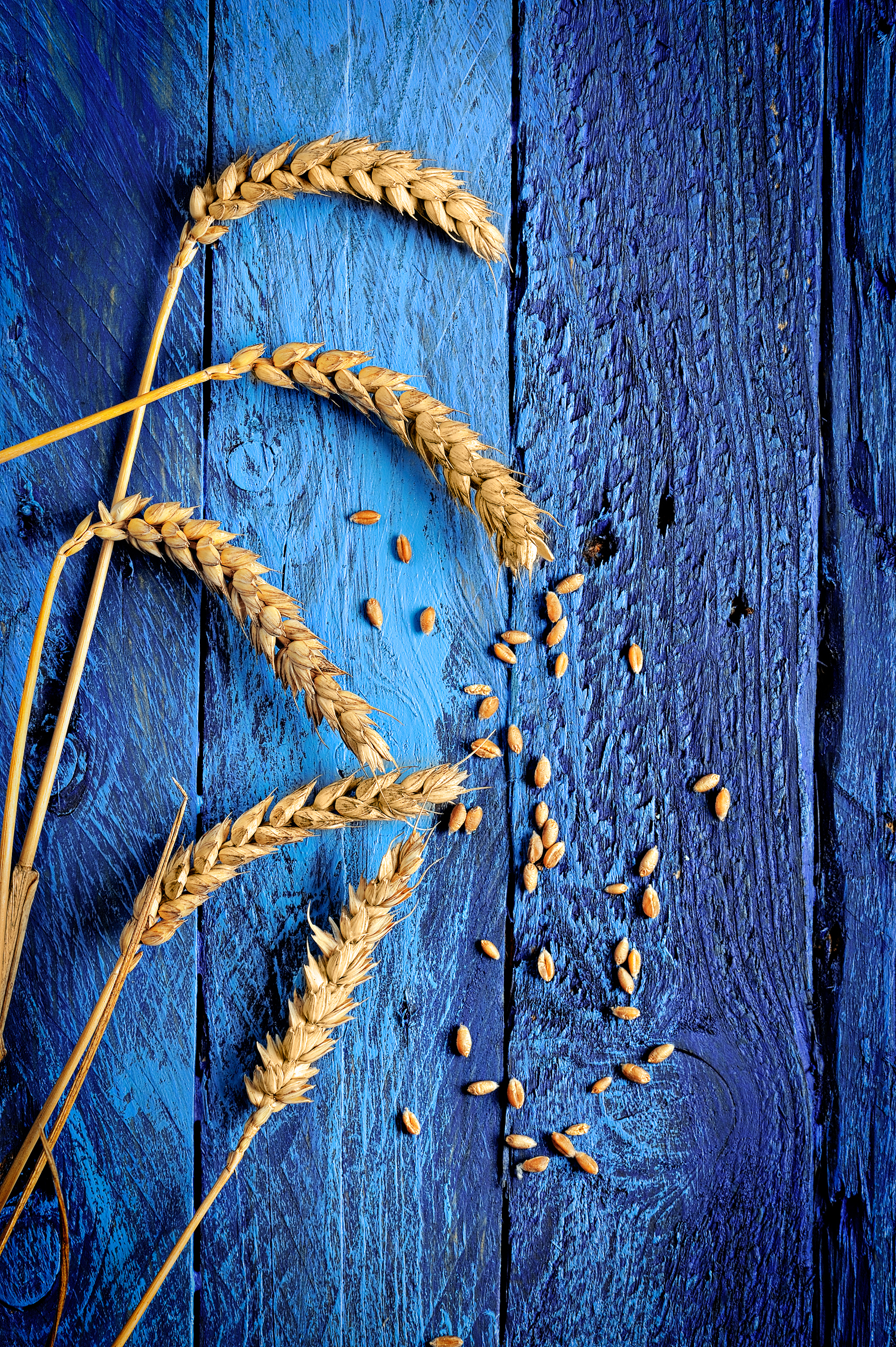 Ripe,Golden,Wheat,And,Grains